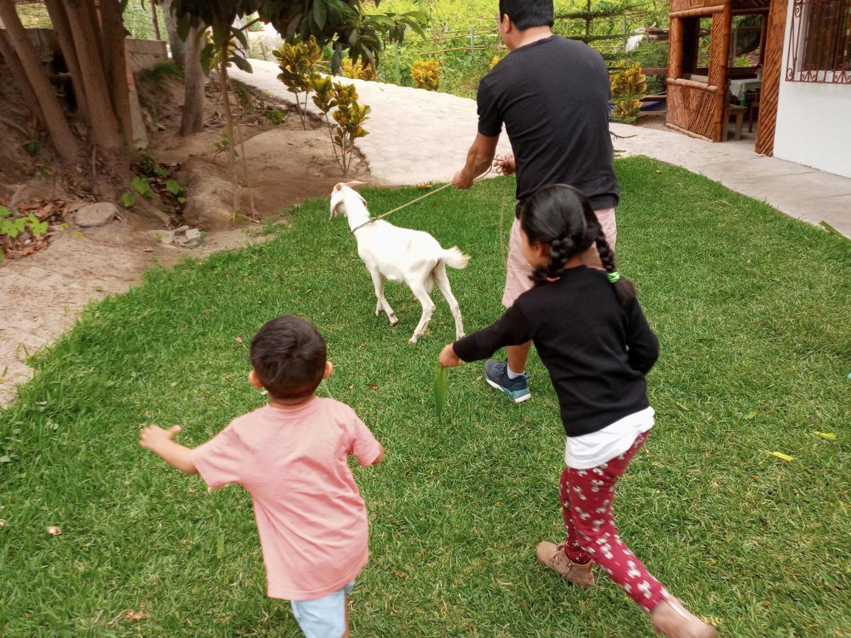 Hotel Quilla Wasi Lunahuaná 外观 照片